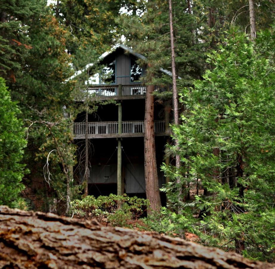 Tree House Lodge Yosemite West Ngoại thất bức ảnh